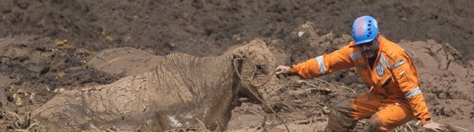 brumadinho2019.fw